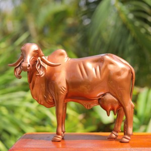 Golden kamdhenu cow